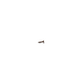 Wood screw, bronze PVD-coated steel, 3.5 × 16 mm • d line