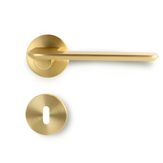 Disco door handle set, brushed brass look, with roses and keyhole escutcheons