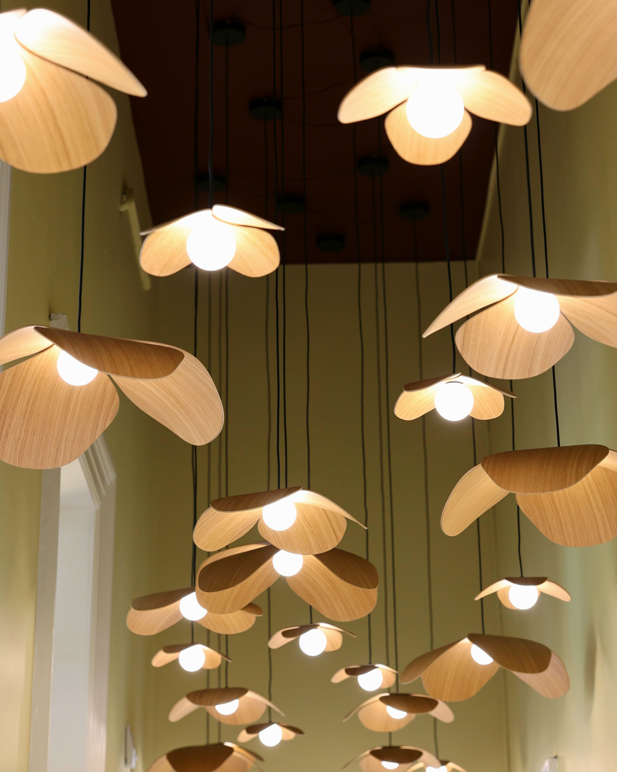 Forget Me Not Cluster 5 pendel med roset, egetræ • UMAGE - Copenhagenhomedesign