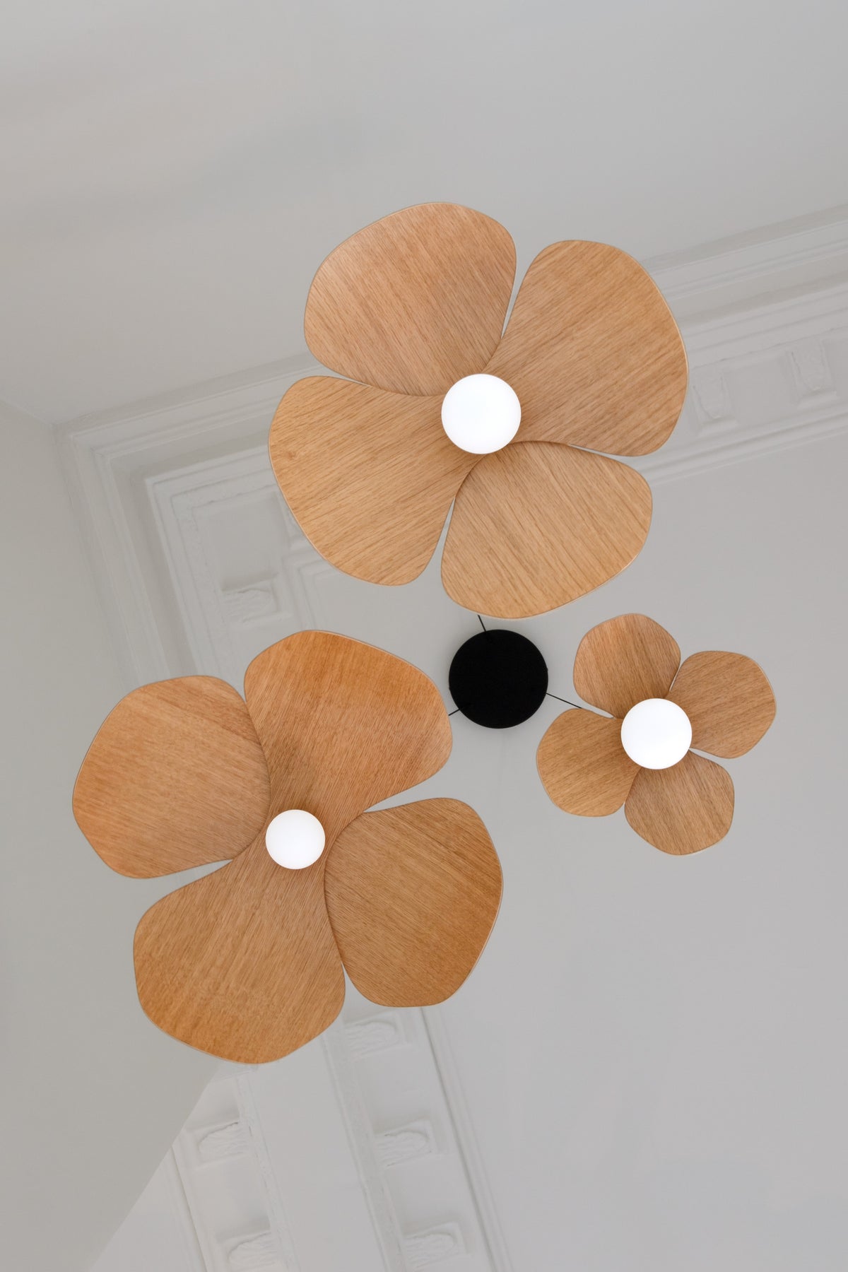 Forget Me Not Cluster 5 pendel med roset, egetræ • UMAGE - Copenhagenhomedesign