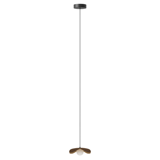 Forget Me Not pendant light with ceiling rose, dark oak • UMAGE