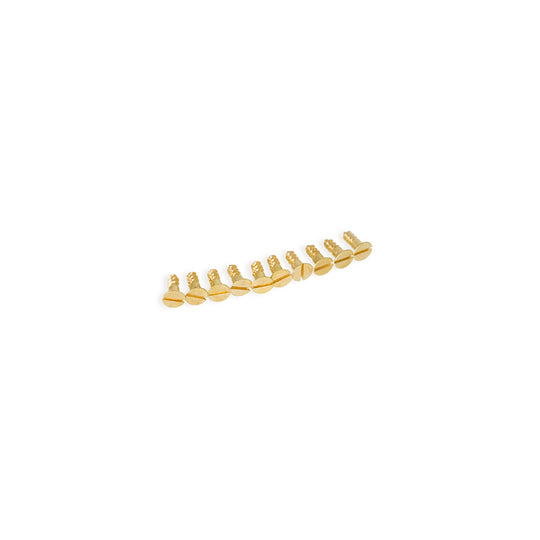 Screws in M4x40 mm. for handles and buds (10 pcs.)